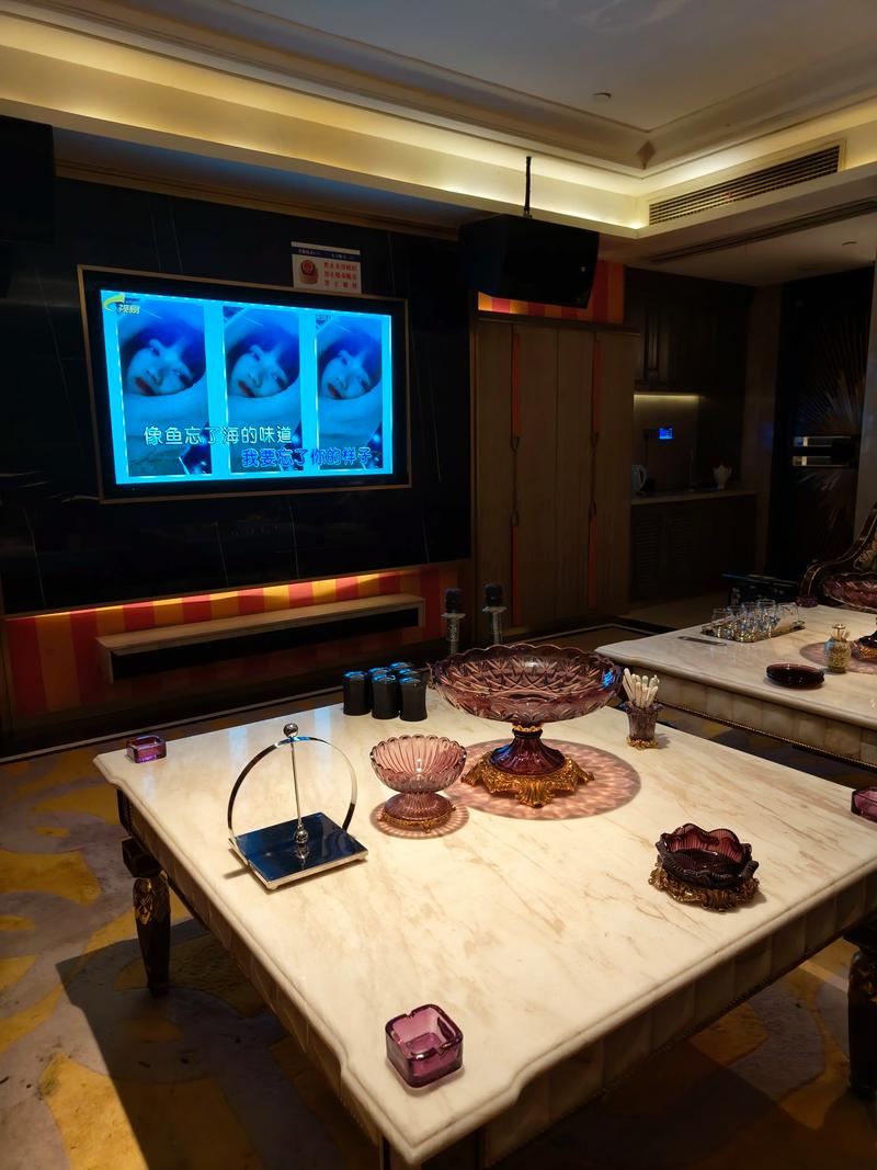 无锡商务ktv首选，性价比高效果好-滨湖区ktv预订